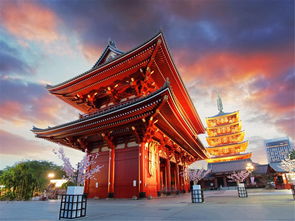 日本本州6或7日游 盛世京都 5晚優質酒店,miho美秀美術館,蔦屋書店,河口湖楓葉長廊,高賴川二條苑料理,京都深度游覽 出發 途牛